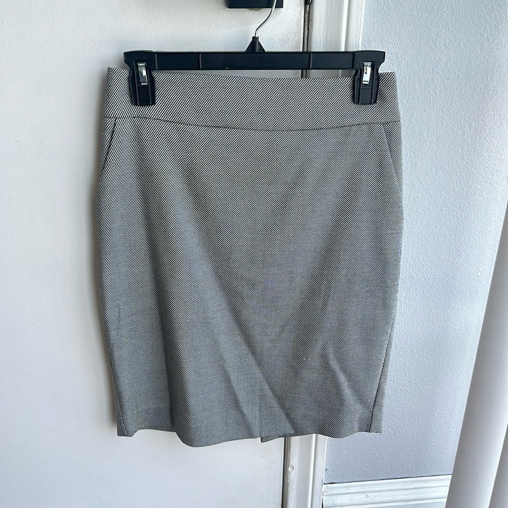NWT Express Skirt